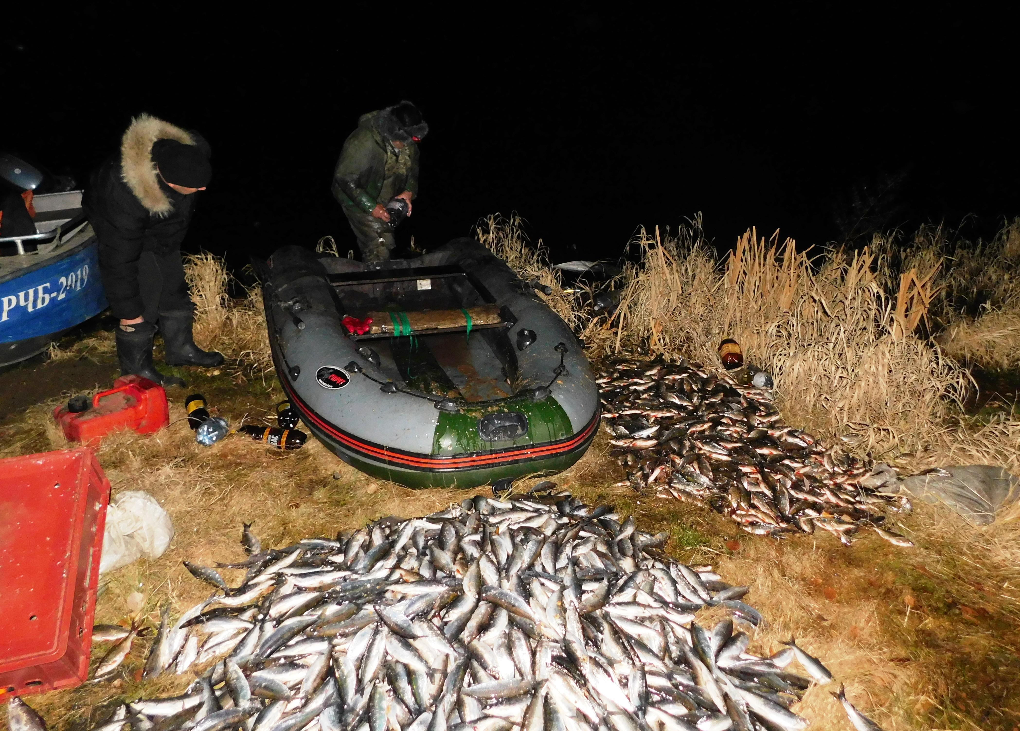 Аргазинское водохранилище рыбалка
